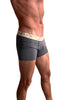 Zen Boxer Brief (Charcoal Grey STRIPE)